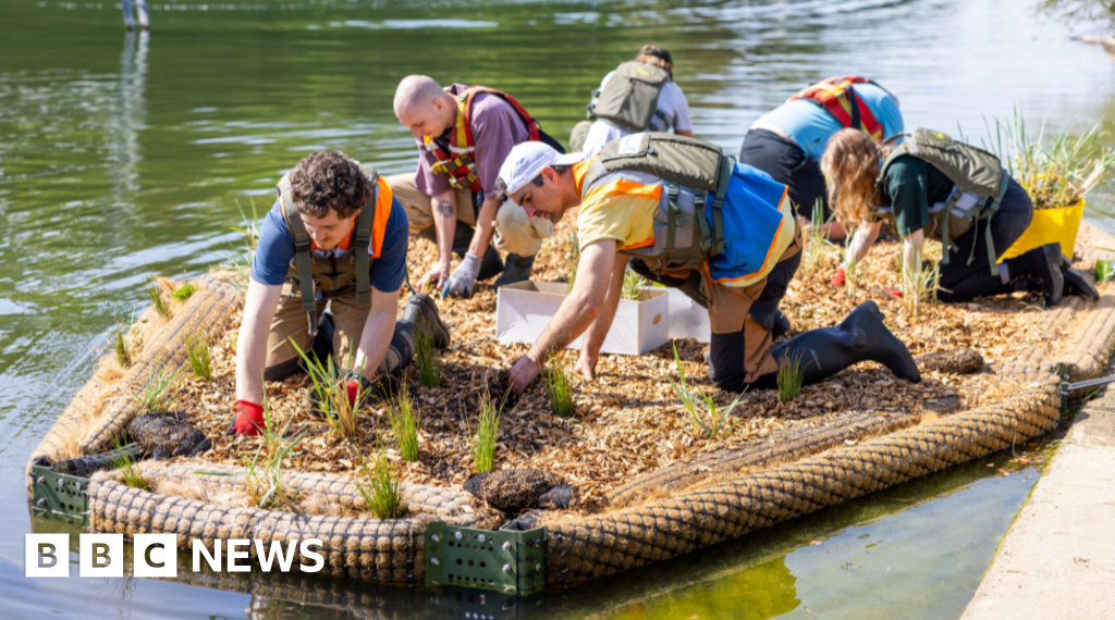 Floating wetlands plan to boost coastal ecosystems