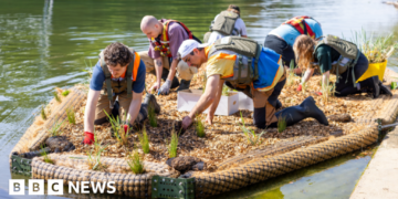 Floating wetlands plan to boost coastal ecosystems