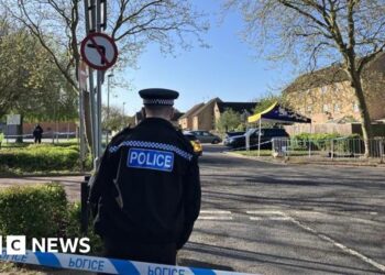 Four teens arrested over fatal stabbing of boy, 16