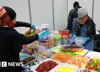 France's Muslim gathering ban overturned by courts