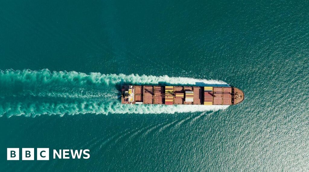 French-owned ship passes through Strait of Hormuz