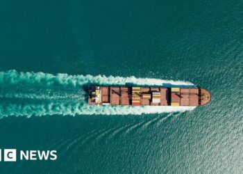 French-owned ship passes through Strait of Hormuz