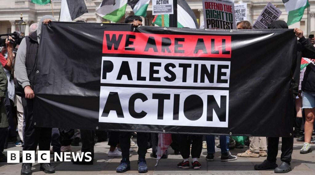 Government defends Palestine Action ban after High Court ruled it unlawful