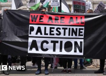 Government defends Palestine Action ban after High Court ruled it unlawful