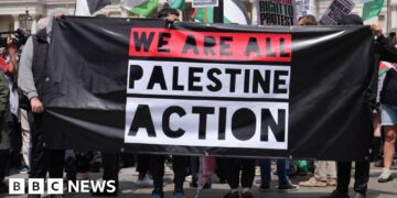 Government defends Palestine Action ban after High Court ruled it unlawful
