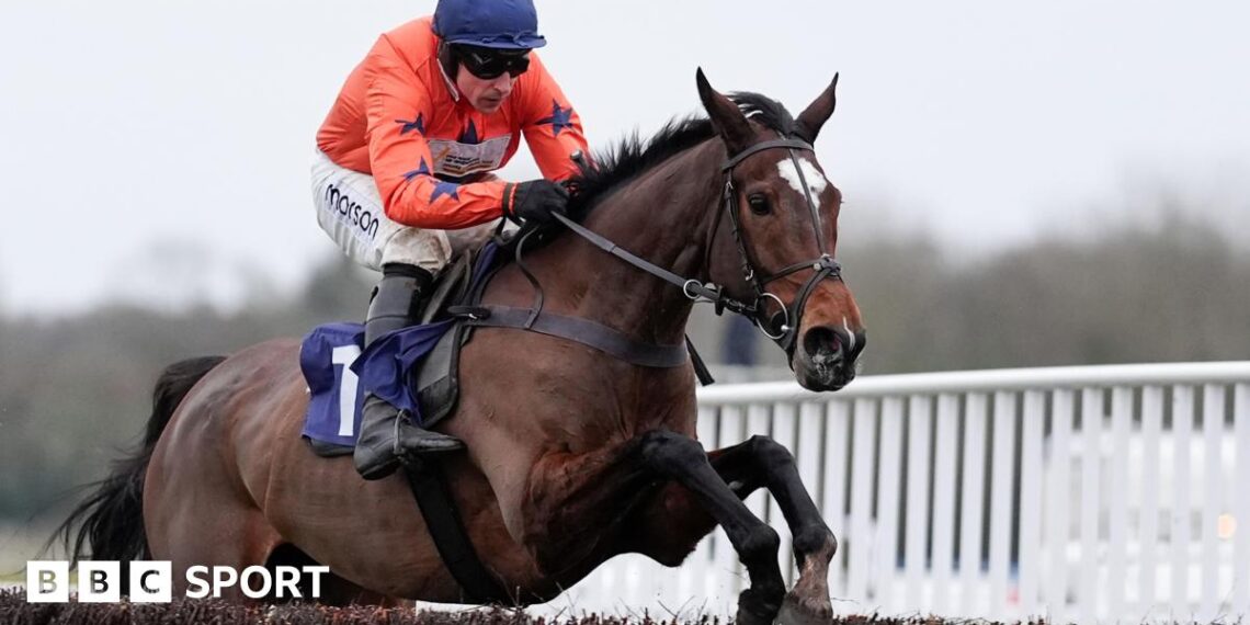 Panic Attack ridden by Harry Skelton at Newbury Races on 14 January 2026