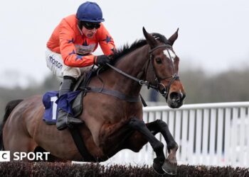 Panic Attack ridden by Harry Skelton at Newbury Races on 14 January 2026