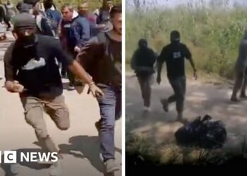 Greek police using masked 'mercenaries' to push migrants back across border
