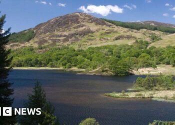 Group behind Galloway National Park campaign disbanded