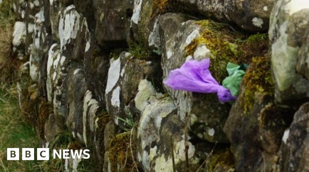 Hadrian's Wall rangers say walkers hide poo bags in its stones