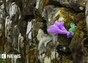 Hadrian's Wall rangers say walkers hide poo bags in its stones