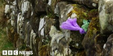 Hadrian's Wall rangers say walkers hide poo bags in its stones
