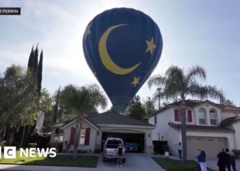 Hot air balloon makes emergency landing in California backyard