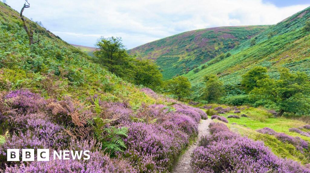 How do you restore the wild spaces of a corner of England?