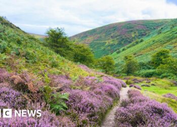 How do you restore the wild spaces of a corner of England?