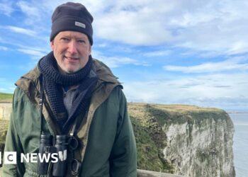 How the battle for Bempton's birds was won