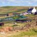 How the changing face of farming is reflected in Scotland's election
