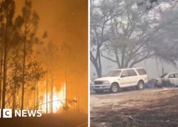Hundreds of wildfires burn across Florida and Georgia