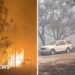Hundreds of wildfires burn across Florida and Georgia