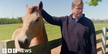 ICE wanted to build a detention centre -  this small farming town said no