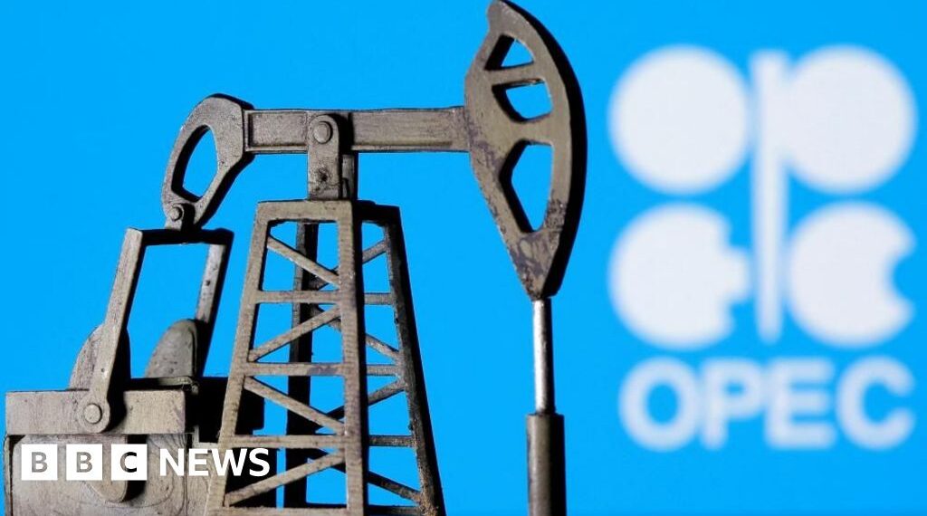 In five charts - How UAE's exit could affect Opec's influence over the oil price