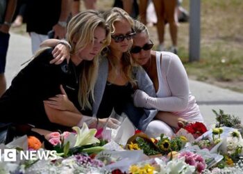 Inquiry into Bondi shooting says gun reform should be prioritised
