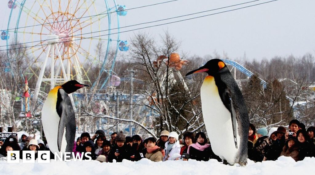 Japan zoo staffer allegedly dumps wife's body inside incinerator