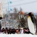 Japan zoo staffer allegedly dumps wife's body inside incinerator