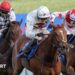 Kap Vert wins the Scottish National