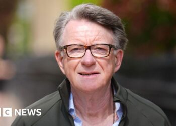 Key figure in Mandelson vetting row will not appear to give evidence to MPs
