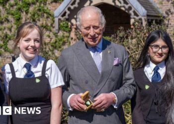 King awarded Blue Peter Green badge for environmental work