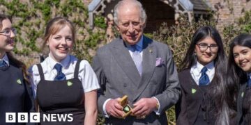 King awarded Blue Peter Green badge for environmental work