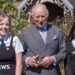 King awarded Blue Peter Green badge for environmental work