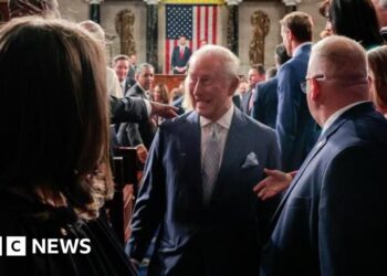 King gets ovation for Congress speech warning of volatile world