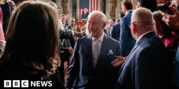 King gets ovation for Congress speech warning of volatile world