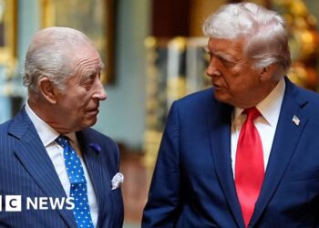 King won't meet Epstein survivors, but state visit could help ease US-UK tensions