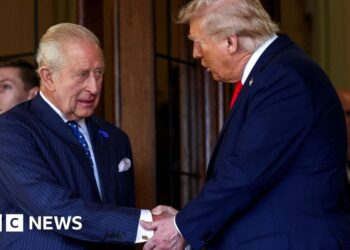 King's visit to 'revitalise' relationship with US, says UK ambassador