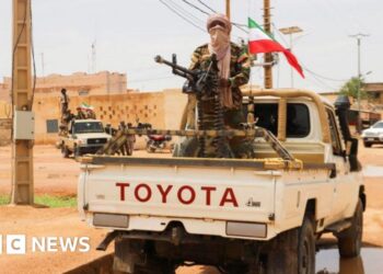 Mali defence minister killed in attacks, reports say