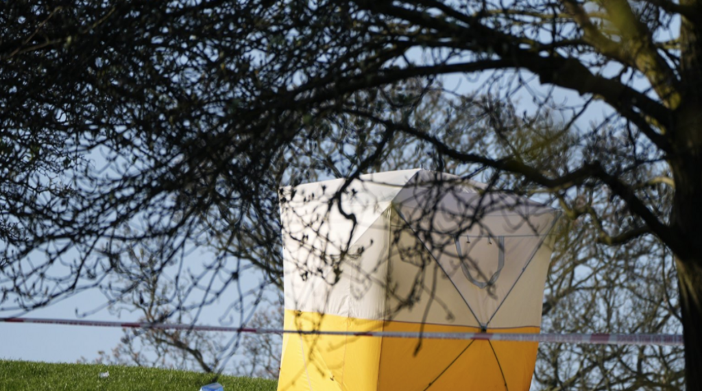 Man, 21, fatally stabbed on London's Primrose Hill