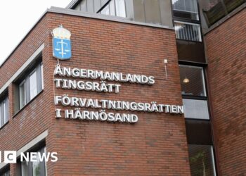 Man accused of coercing wife into sex with 120 men goes on trial in Sweden