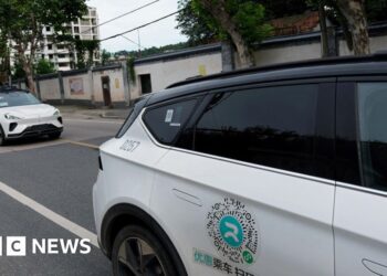 Mass robotaxi malfunction halts traffic in Chinese city