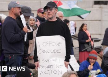 Massive Attack frontman arrested at Palestine protest