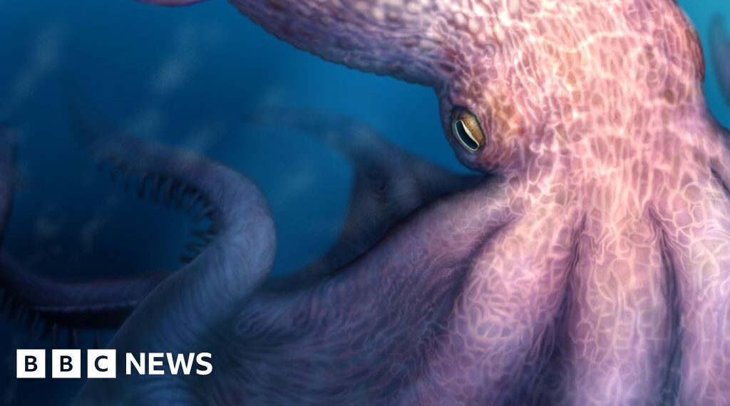 Meet the 19-metre octopus that prowled the ancient seas