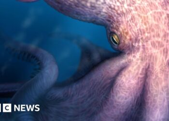 Meet the 19-metre octopus that prowled the ancient seas