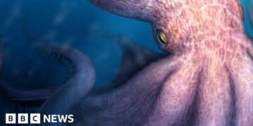 Meet the 19-metre octopus that prowled the ancient seas