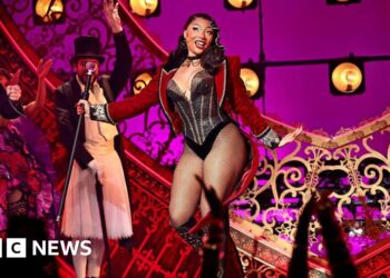 Megan Thee Stallion pulls out of Moulin Rouge show