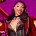 Megan Thee Stallion taken to hospital during Moulin Rouge performance