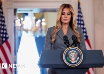 Melania Trump says rumours linking her to Epstein 'need to stop'