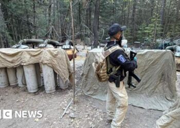Mexico says US agents killed in crash weren't permitted to operate there