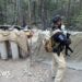 Mexico says US agents killed in crash weren't permitted to operate there